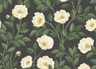 Фото - Обои Cole & Son HRP - Great Masters - 509967>