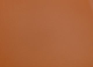 Фото - Ткани Zinc Leather Volume I - 565552>