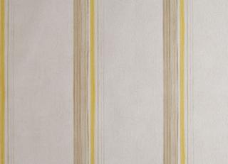 Фото - Обои Caselio Curiosity - 223614>