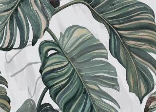 Фото - Обои Coordonne Wander - 559425>