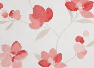 Фото - Обои Caselio Delicate - 226914>