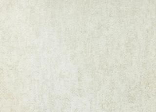 Фото - Обои Omexco Borneo - 356615>