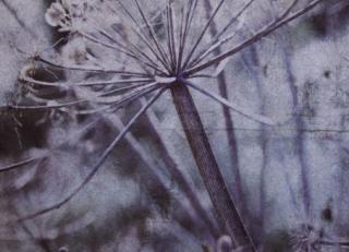 Фото - Обои Eijffinger Lino - 422611>