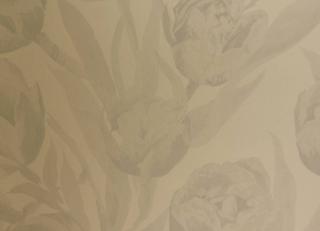 Фото - Фисташковые флизелиновые обои на стену - 250510>