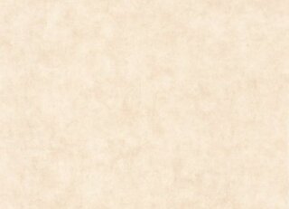 Фото - Обои Caselio Beton 2 - 631907>