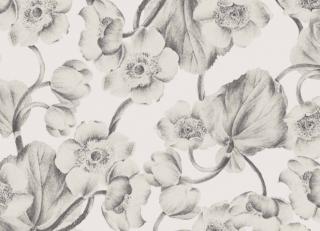 Фото - Обои Khroma Kent - 458886>