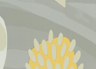 Фото - Обои Elitis Les petites histoires - 509039>