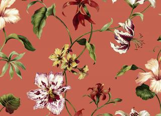 Фото - Обои Jaima Brown Charleseton Home - 242866>