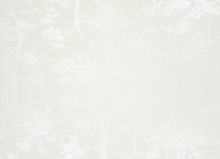 Фото - Обои Osborne & Little Wallpaper Album 5 - 218965>