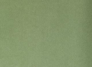 Фото - Ткани Foresti Home Collection Velluto di cotone Zeus - 563397>