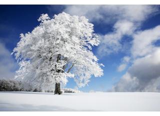 Фото - Обои Photowall Пейзажи - 298748>