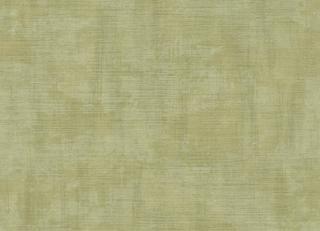 Фото - Обои Parato Cristiana Masi Cromie - 581376>