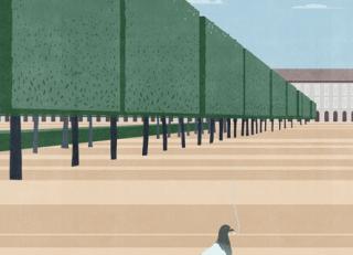 Фото - Обои Wall&Deco CODE 2014 CONTEMPORARY - 463735>