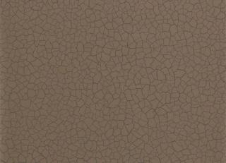 Фото - Обои Zoffany Oblique - 366864>