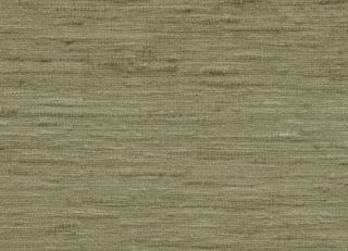 Фото - Обои Arte Wild Silk - 599538>