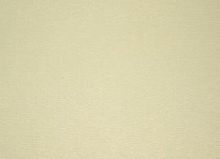 Фото - Обои Calcutta Botanic - 211889>