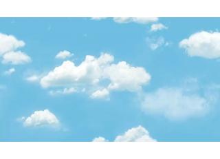 Фото - Обои Shinhan Natural  - 554961>