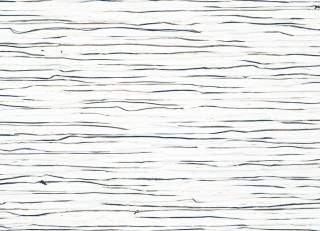 Фото - Обои Nobilis Metissages - 398147>