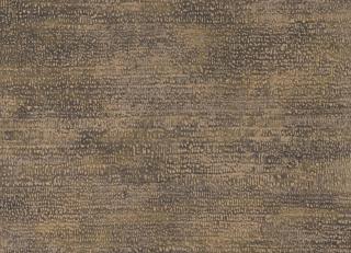 Фото - Обои Emil&Hugo Moana - 572959>