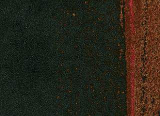 Фото - Обои Elitis Tempo - 262410>