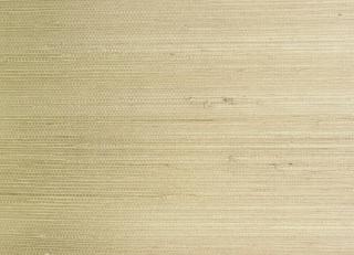 Фото - Обои Designers Guild Plains and Textures - 250589>