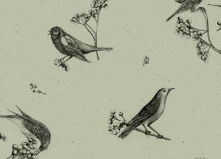 Фото - Обои Coordonne Naturae - 559403>