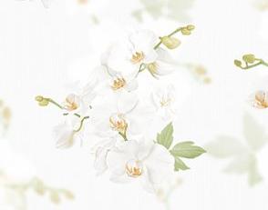 Фото - Обои Andrea Rossi Stromboli - 616530>