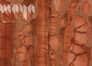 Фото - Обои Maya Romanoff River Bed ll - 394953>