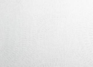 Фото - Ткани Dedar Circles - 408027>