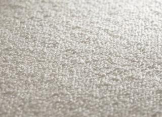 Фото - Ковры JAB Anstoetz Silence - 572674>