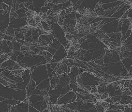 Фото - Обои Collins & Company Casa Blanca 2 - 576839>