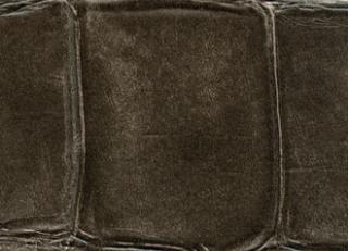 Фото - Обои Elitis Anguille Big croco Legend - 469448>