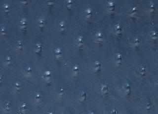 Фото - Аксессуары Pavoni Кожа Struzzo - 588925>