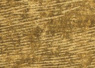 Фото - Ткани Misia Luce di Roma - 620719>