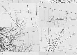 Фото - Обои Wall&Deco CODE 2017 CONTEMPORARY - 464449>