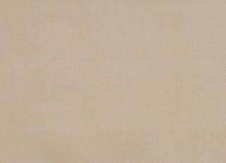 Фото - Ткани Prestigious Textiles Cheviot - 442967>