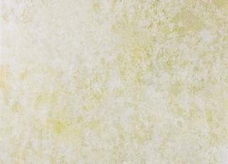 Фото - Обои Osborne & Little Enchanted Gardens - 324754>