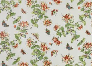 Фото - Ткани Colefax and Fowler Classic Prints I - 258429>