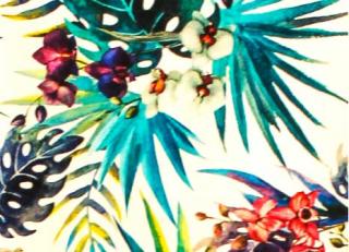 Фото - Ткани Alessandro Bini Campus collection - 380801>