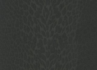 Фото - Обои для стен Roberto Cavalli - 525779>