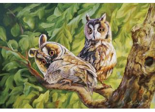 Фото - Обои Ortograf Елена Самарская - 479066>