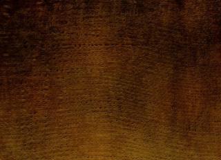 Фото - Ткани Misia Peintures de Paix - 395951>