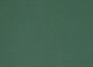 Фото - Ткани Nobilis Velours Oskar - 556660>