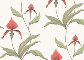 Фото - Обои Cole & Son Contemporary Restyled - 232210>