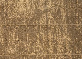 Фото - Обои Maya Romanoff Zen Garden - 553748>