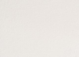 Фото - Ткани Dedar Wide Wool Sable - 557746>