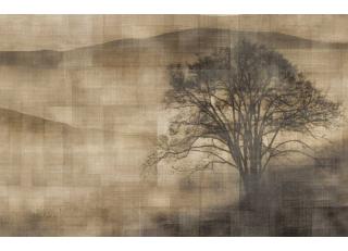 Фото - Обои Texam Id - 425560>