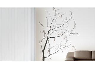 Фото - Обои Glamora Essence - 225483>