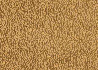 Фото - Ткани Manuel Canovas Viggo - 602674>