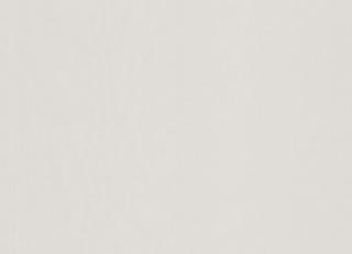 Фото - Ткани Sunbrella XL Satin - 449726>